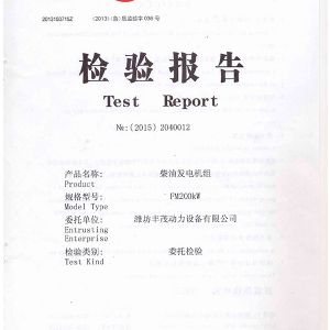 FM200KW柴油發電機組 檢驗報告