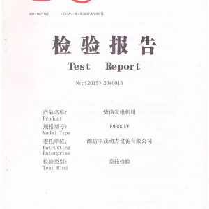 FM300KW柴油發電機組 檢驗報告