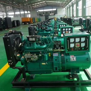 濰坊20KW柴油發電機組