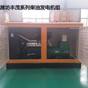 濰柴300KW防雨型柴油發電機組